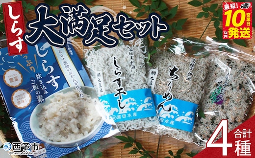 ＜しらす大満足セット 合計4種＞炊き込み 西予市産 ちりめん しらす干し 食べ比べ 健康 カルシウム 詰め合わせ チリメン シラス 魚介 海産物 海鮮 家庭用 贈答用 小分け 国産 特産品 産地直送 濱田水産 愛媛県 西予市【冷凍】 