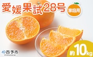 紅まどんなと同品種！＜愛媛果試28号 家庭用 約10kg＞ 訳あり わけあり 自宅用 果物 フルーツ みかん ミカン 蜜柑 オレンジ えひめかし 選べる 食べて応援 特産品 柑橘園柴田 愛媛県 西予市【常温】『2025年12月上旬～12月下旬迄に順次出荷予定』