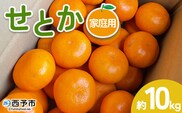 【先行予約】＜せとか 家庭用 約10kg＞ 訳あり わけあり 自宅用 果物 フルーツ みかん ミカン 蜜柑 オレンジ 柑橘 セトカ ジューシー サイズ不揃い 食べて応援 特産品 柑橘園柴田 愛媛県 西予市【常温】『2027年2月下旬～3月中旬迄に順次出荷予定』