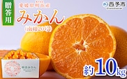＜みかん（南柑20号）贈答用 約10kg＞ 果物 くだもの フルーツ ミカン 柑橘 なんかん20ごう ナンカン20ゴウ 温州みかん うんしゅうみかん 贈答 ギフト プレゼント 特産品 株式会社笑丸 愛媛県 西予市【常温】