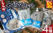 ＜しらす大満足セット 合計4種＞炊き込み 西予市産 ちりめん しらす干し 食べ比べ 健康 カルシウム 詰め合わせ チリメン シラス 魚介 海産物 海鮮 家庭用 贈答用 小分け 国産 特産品 産地直送 濱田水産 愛媛県 西予市【冷凍】 