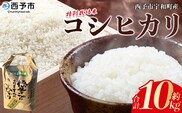令和7年産　西予市宇和町産　特別栽培米コシヒカリ10kg