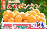 ＜太田ポンカン 家庭用 約10kg＞ 果物 くだもの フルーツ みかん ミカン 柑橘 太田ぽんかん おおたぽんかん オオタポンカン ぽんかん 訳あり ご自宅用 特産品 株式会社笑丸 愛媛県 西予市【常温】