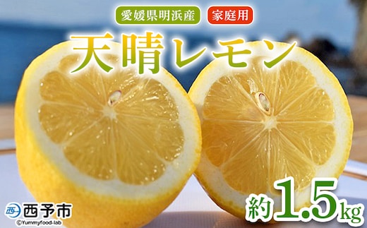 ＜天晴レモン ご家庭用 約1.5kg＞ フルーツ 果物 くだもの レモン れもん 檸檬 柑橘 訳あり わけあり ワケアリ 自宅用 料理 国産 国産レモン 愛媛県産 特産品 株式会社笑丸 愛媛県 西予市【常温】