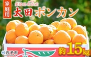 ＜太田ポンカン 家庭用 約15kg＞ 果物 くだもの フルーツ みかん ミカン 柑橘 太田ぽんかん おおたぽんかん オオタポンカン ぽんかん 訳あり ご自宅用 特産品 株式会社笑丸 愛媛県 西予市【常温】