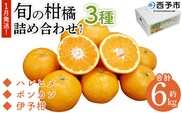 ＜1月発送！旬の柑橘 詰め合わせセット 3種×各2kg＞ 果物 フルーツ みかん ミカン 蜜柑 柑橘 オレンジ ブラッドオレンジ なつみ はるか ネーブル ポンカン 甘夏 特産品 宇都宮物産 愛媛県 西予市【常温】『1月に順次出荷予定』