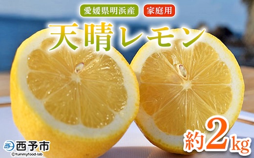 ＜天晴レモン ご家庭用 約2kg＞ フルーツ 果物 くだもの レモン れもん 檸檬 柑橘 訳あり わけあり ワケアリ 自宅用 料理 国産 国産レモン 愛媛県産 特産品 株式会社笑丸 愛媛県 西予市【常温】