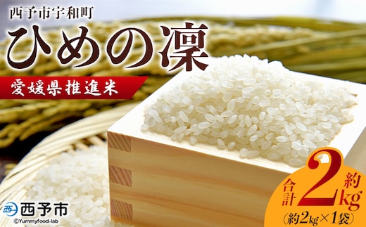 ＜令和7年産 愛媛県推進米 ひめの凜 約2kg＞ お米 コメ こめ 白米 精米 単一原料米 穀物 ひめのりん ヒメノリン ヒメノ凜 ブランド米 大粒 ツヤツヤ 特産品 愛媛県産 西予市産 宇和町産 三好フク【常温】『2025年11月中旬より順次出荷予定』