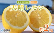 ＜天晴レモン 贈答用 約2kg＞ フルーツ 果物 くだもの レモン れもん 檸檬 柑橘 プレゼント 贈り物 お返し お礼 ギフト アレンジ 料理 国産 国産レモン 愛媛県産 特産品 株式会社笑丸 愛媛県 西予市【常温】