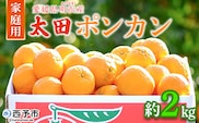 ＜太田ポンカン 家庭用 約2kg＞ 果物 くだもの フルーツ みかん ミカン 柑橘 太田ぽんかん おおたぽんかん オオタポンカン ぽんかん 訳あり ご自宅用 特産品 株式会社笑丸 愛媛県 西予市【常温】