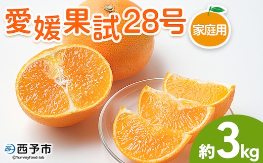 紅まどんなと同品種！＜愛媛果試28号 家庭用 約3kg＞ 訳あり わけあり 自宅用 果物 フルーツ みかん ミカン 蜜柑 オレンジ えひめかし 選べる 食べて応援 特産品 柑橘園柴田 愛媛県 西予市【常温】『2025年12月上旬～12月下旬迄に順次出荷予定』