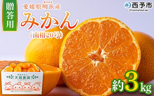 ＜みかん（南柑20号）贈答用 約3kg＞ 果物 くだもの フルーツ ミカン 柑橘 なんかん20ごう ナンカン20ゴウ 温州みかん うんしゅうみかん 贈答 ギフト プレゼント 特産品 株式会社笑丸 愛媛県 西予市【常温】