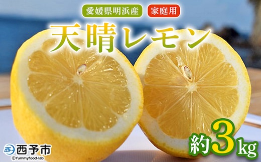 ＜天晴レモン ご家庭用 約3kg＞ フルーツ 果物 くだもの レモン れもん 檸檬 柑橘 訳あり わけあり ワケアリ 自宅用 料理 国産 国産レモン 愛媛県産 特産品 株式会社笑丸 愛媛県 西予市【常温】