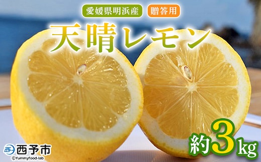 ＜天晴レモン 贈答用 約3kg＞ フルーツ 果物 くだもの レモン れもん 檸檬 柑橘 プレゼント 贈り物 お返し お礼 ギフト アレンジ 料理 国産 国産レモン 愛媛県産 特産品 株式会社笑丸 愛媛県 西予市【常温】