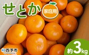 ＜せとか 家庭用 約3kg＞ 訳あり わけあり 自宅用 果物 フルーツ みかん ミカン 蜜柑 オレンジ 柑橘 セトカ ジューシー サイズ不揃い 食べて応援 特産品 柑橘園柴田 愛媛県 西予市【常温】『2026年2月下旬～3月中旬迄に順次出荷予定』