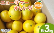 ＜ニューサマーオレンジ 家庭用 約3kg＞ 訳あり わけあり 自宅用 果物 フルーツ みかん ミカン 蜜柑 オレンジ 柑橘 にゅーさまーおれんじ 選べる 食べて応援 特産品 柑橘園柴田 愛媛県 西予市【常温】『2026年4月中旬～5月中旬迄に順次出荷予定』