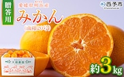 ＜みかん（南柑20号）贈答用 約3kg＞ 果物 くだもの フルーツ ミカン 柑橘 なんかん20ごう ナンカン20ゴウ 温州みかん うんしゅうみかん 贈答 ギフト プレゼント 特産品 株式会社笑丸 愛媛県 西予市【常温】