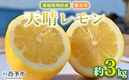 ＜天晴レモン 贈答用 約3kg＞ フルーツ 果物 くだもの レモン れもん 檸檬 柑橘 プレゼント 贈り物 お返し お礼 ギフト アレンジ 料理 国産 国産レモン 愛媛県産 特産品 株式会社笑丸 愛媛県 西予市【常温】