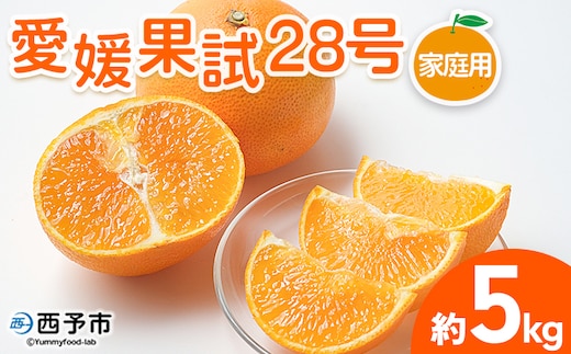 紅まどんなと同品種！＜愛媛果試28号 家庭用 約5kg＞ 訳あり わけあり 自宅用 果物 フルーツ みかん ミカン 蜜柑 オレンジ えひめかし 選べる 食べて応援 特産品 柑橘園柴田 愛媛県 西予市【常温】『2025年12月上旬～12月下旬迄に順次出荷予定』