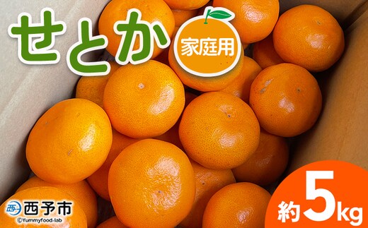 【先行予約】＜せとか 家庭用 約5kg＞ 訳あり わけあり 自宅用 果物 フルーツ みかん ミカン 蜜柑 オレンジ 柑橘 セトカ ジューシー サイズ不揃い 食べて応援 特産品 柑橘園柴田 愛媛県 西予市【常温】『2027年2月下旬～3月中旬迄に順次出荷予定』