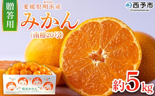 ＜みかん（南柑20号）贈答用 約5kg＞ 果物 くだもの フルーツ ミカン 柑橘 なんかん20ごう ナンカン20ゴウ 温州みかん うんしゅうみかん 贈答 ギフト プレゼント 特産品 株式会社笑丸 愛媛県 西予市【常温】