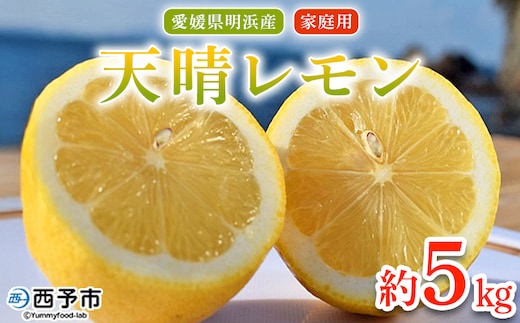 ＜天晴レモン ご家庭用 約5kg＞ フルーツ 果物 くだもの レモン れもん 檸檬 柑橘 訳あり わけあり ワケアリ 自宅用 料理 国産 国産レモン 愛媛県産 特産品 株式会社笑丸 愛媛県 西予市【常温】