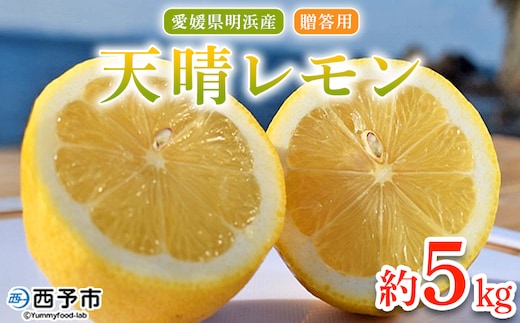 ＜天晴レモン 贈答用 約5kg＞ フルーツ 果物 くだもの レモン れもん 檸檬 柑橘 プレゼント 贈り物 お返し お礼 ギフト アレンジ 料理 国産 国産レモン 愛媛県産 特産品 株式会社笑丸 愛媛県 西予市【常温】