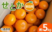 ＜せとか 家庭用 約5kg＞ 訳あり わけあり 自宅用 果物 フルーツ みかん ミカン 蜜柑 オレンジ 柑橘 セトカ 選べる ジューシー サイズ不揃い 食べて応援 特産品 柑橘園柴田 愛媛県 西予市【常温】『2026年2月下旬～3月中旬迄に順次出荷予定』