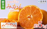 ＜みかん（南柑20号）贈答用 約5kg＞ 果物 くだもの フルーツ ミカン 柑橘 なんかん20ごう ナンカン20ゴウ 温州みかん うんしゅうみかん 贈答 ギフト プレゼント 特産品 株式会社笑丸 愛媛県 西予市【常温】