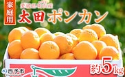 ＜太田ポンカン 家庭用 約5kg＞ 果物 くだもの フルーツ みかん ミカン 柑橘 太田ぽんかん おおたぽんかん オオタポンカン ぽんかん 訳あり ご自宅用 特産品 株式会社笑丸 愛媛県 西予市【常温】