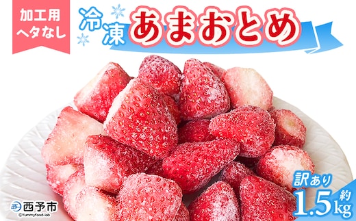 ＜冷凍いちご あまおとめ 約1.5kg 加工用 ヘタなし＞ 国産 アマオトメ 朝採り 朝採れ サイズ 不揃い 訳あり 訳アリ フルーツ 果物 苺 いちご イチゴ シャーベット ジャム スムージー 大粒 小粒 りの果樹園 愛媛県 西予市【冷凍】