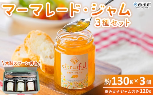 ＜マーマレード・ジャム 3種セット＞ 国産 愛媛県産 西宇和 マーマレード ジャム セット 3個 産地直送 季節のジャム みかん ミカン 果物 フルーツ 柑橘 オレンジ 蜜柑 手作り 果実 手作りジャム 小林果園 愛媛県 西予市 【常温】