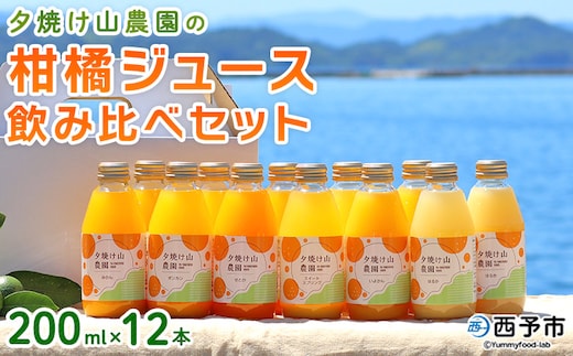＜夕焼け山農園の柑橘ジュース 飲み比べセット 200ml×12本＞ 6種 12本 ストレートジュース 柑橘 果物 みかん 蜜柑 ミカン 200ml 詰め合わせ セット ギフト ご自宅用 フルーツ 夕焼け山農園 特産品 愛媛県 西予市【常温】『2026年7月中旬以降順次出荷予定』