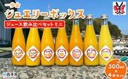 ＜一歩会 ジュエリーボックス ジュース飲み比べセット ミニ 300ml×4本入り＞ 愛媛 果汁 100% ジュース ストレートジュース みかんジュース セット 柑橘 飲料 オレンジ 特産品 渡江から一歩を踏み出す会 愛媛県 西予市【常温】