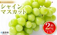 ＜シャインマスカット 約2kg＞ 果物 くだもの フルーツ ぶどう 葡萄 ブドウ シャインマスカット しゃいんますかっと 4～5房 大粒 糖度 極上 種なし 甘い 皮ごと 特産品 ファームNINOMIYA 愛媛県 西予市【冷蔵】『2026年8月下旬～9月中旬迄に順次出荷予定』