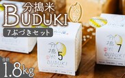 ＜分搗米「BUDUKI」ひめの凜 「7ぶづき」2合入り×6個（1.8kg）＞ ひめのりん 分づき米 ぶづき米 ぶずき米 お米 コメ こめ 選べる 7分づき 玄米 精米 ご飯 もとき農園 愛媛県 西予市【常温】『令和7年11月中旬より順次発送予定』