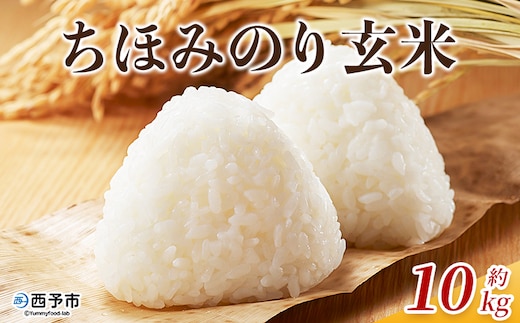 新米＜令和7年産 ちほみのり 玄米 10kg＞げんまい 米 こめ コメ ご飯 穀物 10キロ 産地直送 愛媛県産 西予市産 特産品 やまこのうえん 愛媛県 西予市【常温】『2025年9月上旬より順次出荷予定』