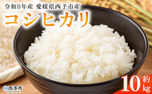新米＜令和8年産 コシヒカリ 10kg＞国産 愛媛県産 宇和町産 宇和米 こしひかり お米 米 コメ こめ 白米 精米 ご飯 新鮮 10キロ 特産品 大塚農園 愛媛県 西予市【常温】『2026年10月・11月頃から順次発送予定』