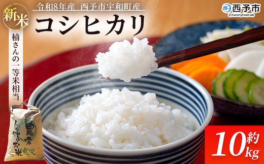 【先行予約】新米 ＜令和8年産 コシヒカリ 約10kg 西予市宇和町産＞ 通常 白米 精米 楠さんの一等米相当 お米 ご飯 愛媛県 西予市【常温】『2026年9月上旬から順次出荷予定』