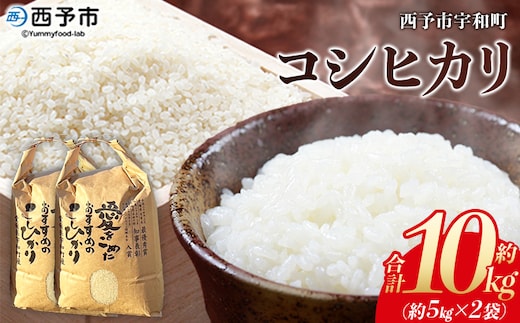 新米＜令和7年産 西予市宇和町産 コシヒカリ 約10kg＞ お米 コメ こめ 白米 精米 単一原料米 ご飯 白飯 ごはん 穀物 コシヒカリ こしひかり 朝食 特産品 愛媛県産 西予市産 宇和町産 三好フク【常温】『1か月以内に順次出荷予定』