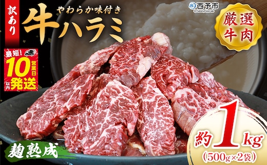 ＜麹熟成で旨み引き立つ！やわらか味付き 牛ハラミ 約1kg（500g×2）＞ 訳あり はらみ ハラミ 赤身 大容量 牛肉 お肉 焼肉 BBQ 味付き 麹 コスパ 塩味 レシピ 丼 献立 惣菜 おかず 簡単 グルメ 株式会社丸和 愛媛県 西予市【冷凍】『最短10営業日以内に順次出荷』