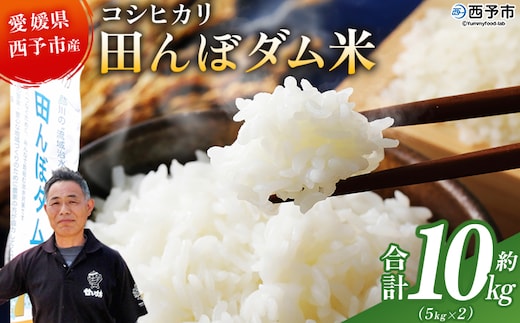新米＜令和7年産 愛媛県西予市産 コシヒカリ 田んぼダム米 10kg＞ 10キロ こしひかり 西予応援米 宇和米 お米 コメ こめ 白米 精米 米 国産 愛媛県産 宇和町産 和みファーム 愛媛県 西予市【常温】『2025年10月・11月頃から順次発送予定』