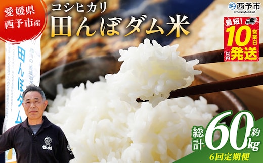 ＜令和8年産 愛媛県西予市産 コシヒカリ 田んぼダム米 10kg 6回定期便＞※最短10営業日以内に第1回目を出荷予定 10キロ こしひかり 西予応援米 宇和米 お米 コメ こめ 白米 精米 米 国産 愛媛県産 宇和町産 和みファーム 愛媛県 西予市【常温】