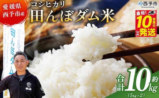 ＜令和7年産 愛媛県西予市産 コシヒカリ 田んぼダム米 10kg＞※最短10営業日以内に順次発送予定 10キロ こしひかり 西予応援米 宇和米 お米 コメ こめ 白米 精米 米 国産 愛媛県産 宇和町産 和みファーム 愛媛県 西予市【常温】