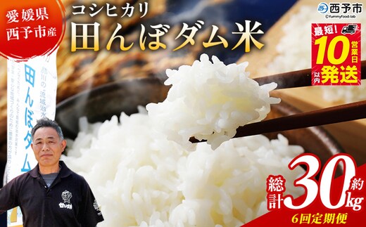 ＜令和8年産 愛媛県西予市産 コシヒカリ 田んぼダム米 5kg 6回定期便＞※最短10営業日以内に第1回目を出荷予定 5キロ こしひかり 西予応援米 宇和米 お米 コメ こめ 白米 精米 米 国産 愛媛県産 宇和町産 和みファーム 愛媛県 西予市【常温】