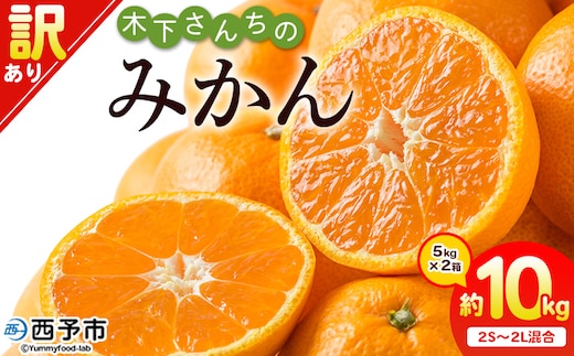 ＜木下さんちのみかん 訳あり 約10kg（2S～2Lサイズ混合）＞ 選べる わけあり 家庭用 柑橘 温州みかん うんしゅうみかん ミカン 蜜柑 果物 くだもの フルーツ 国産 特産品 木下農園 愛媛県 西予市【常温】『2025年11月中旬～2026年1月中旬迄に順次出荷予定』