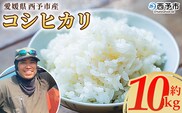 ＜愛媛県西予市産 コシヒカリ 10kg＞ 国産 愛媛県産 宇和町産 こしひかり お米 米 コメ こめ 白米 精米 ご飯 新鮮 10キロ 特産品 もとき農園 愛媛県 西予市【常温】『2025年10月・11月頃から順次発送予定』