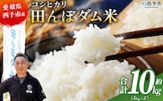 新米＜令和7年産 愛媛県西予市産 コシヒカリ 田んぼダム米 10kg＞ 10キロ こしひかり 西予応援米 宇和米 お米 コメ こめ 白米 精米 米 国産 愛媛県産 宇和町産 和みファーム 愛媛県 西予市【常温】『2025年10月・11月頃から順次発送予定』