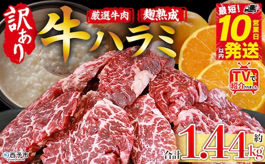 TVで紹介！＜麹熟成で旨み引き立つ！やわらか味付き 牛ハラミ 約1.44kg（360g×4）＞ テレビ TV 訳あり はらみ ハラミ 赤身 大容量 牛肉 お肉 焼肉 BBQ 味付き 麹 コスパ 塩味 レシピ 丼 献立 惣菜 おかず 簡単 グルメ 株式会社丸和 愛媛県 西予市【冷凍】『最短10営業日以内に順次出荷』
