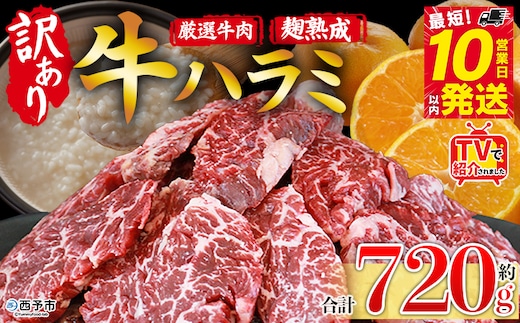 TVで紹介！＜麹熟成で旨み引き立つ！やわらか味付き 牛ハラミ 約720g（360g×2）＞ テレビ TV 訳あり はらみ ハラミ 赤身 大容量 牛肉 お肉 焼肉 BBQ 味付き 麹 コスパ 塩味 レシピ 丼 献立 惣菜 おかず 簡単 グルメ 株式会社丸和 愛媛県 西予市【冷凍】『最短10営業日以内に順次出荷』